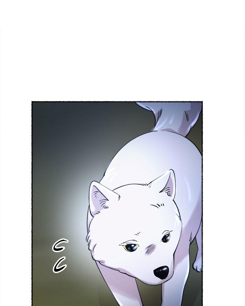 Like Wind on a Dry Branch Chap 81 - Next Chap 82