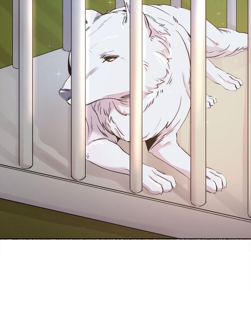 Like Wind on a Dry Branch Chap 82 - Next Chap 83