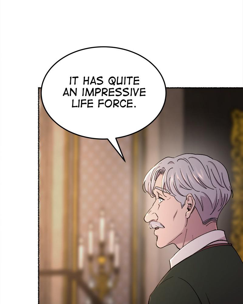 Like Wind on a Dry Branch Chap 94 - Next Chap 95