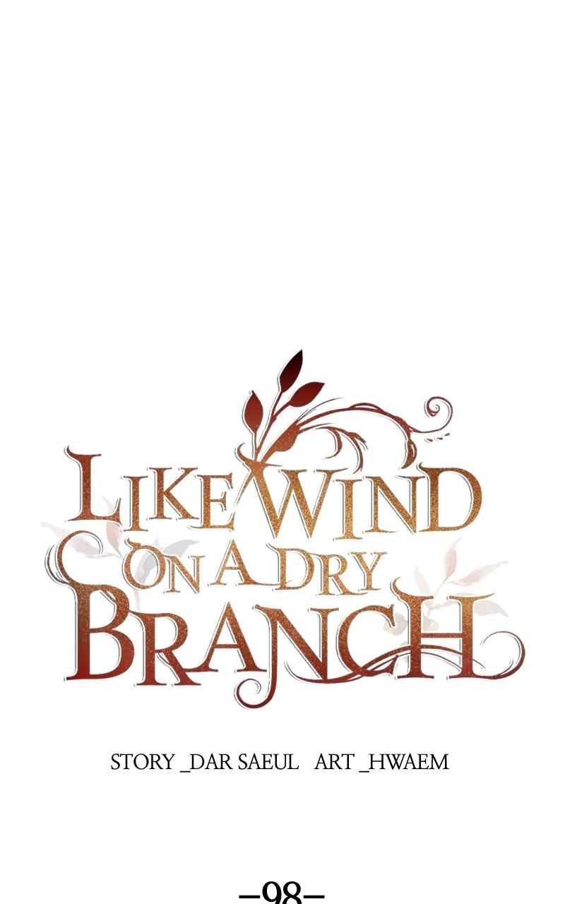 Like Wind on a Dry Branch Chap 98 - Next Chap 99