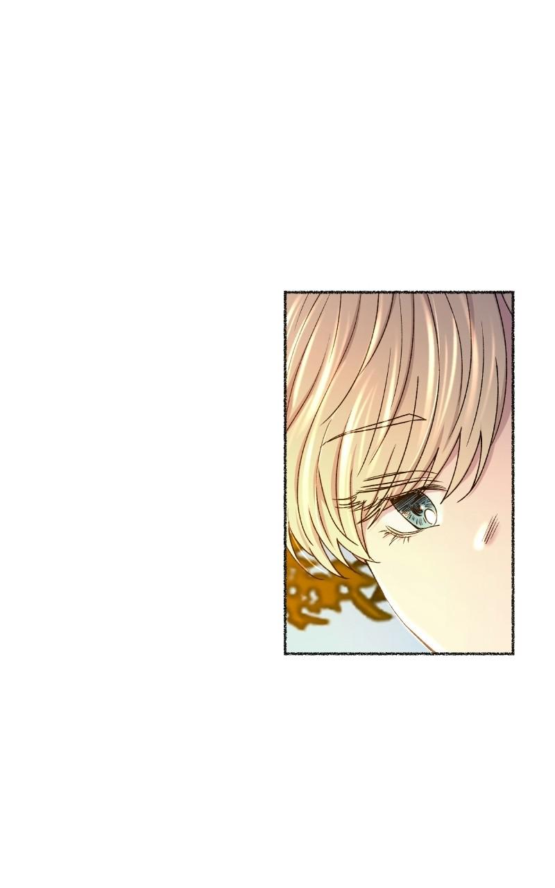 Like Wind on a Dry Branch Chap 98 - Next Chap 99