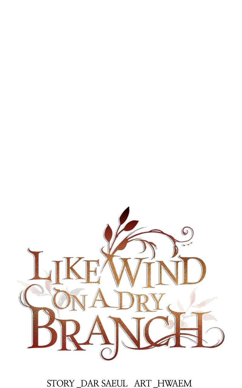 Like Wind on a Dry Branch Chap 99 - Next Chap 100