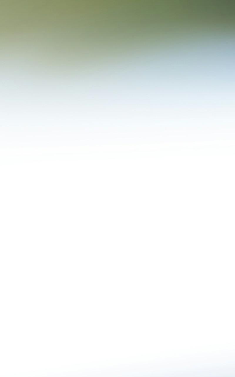 Like Wind on a Dry Branch Chap 99 - Next Chap 100