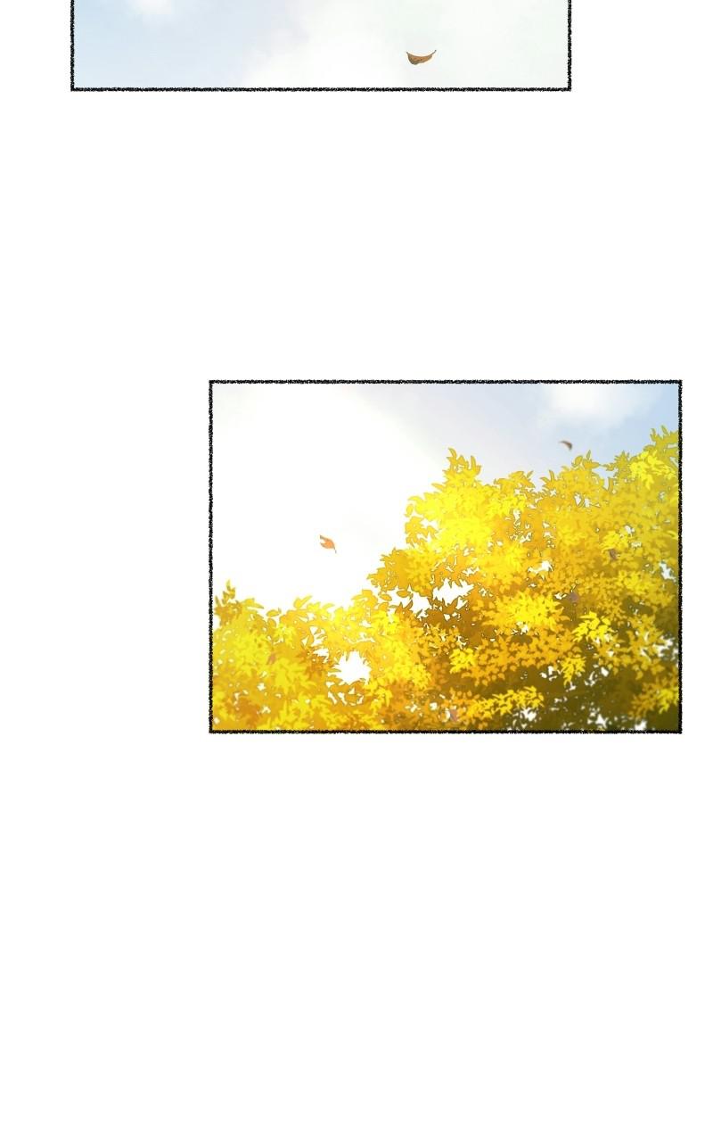 Like Wind on a Dry Branch Chap 99 - Next Chap 100