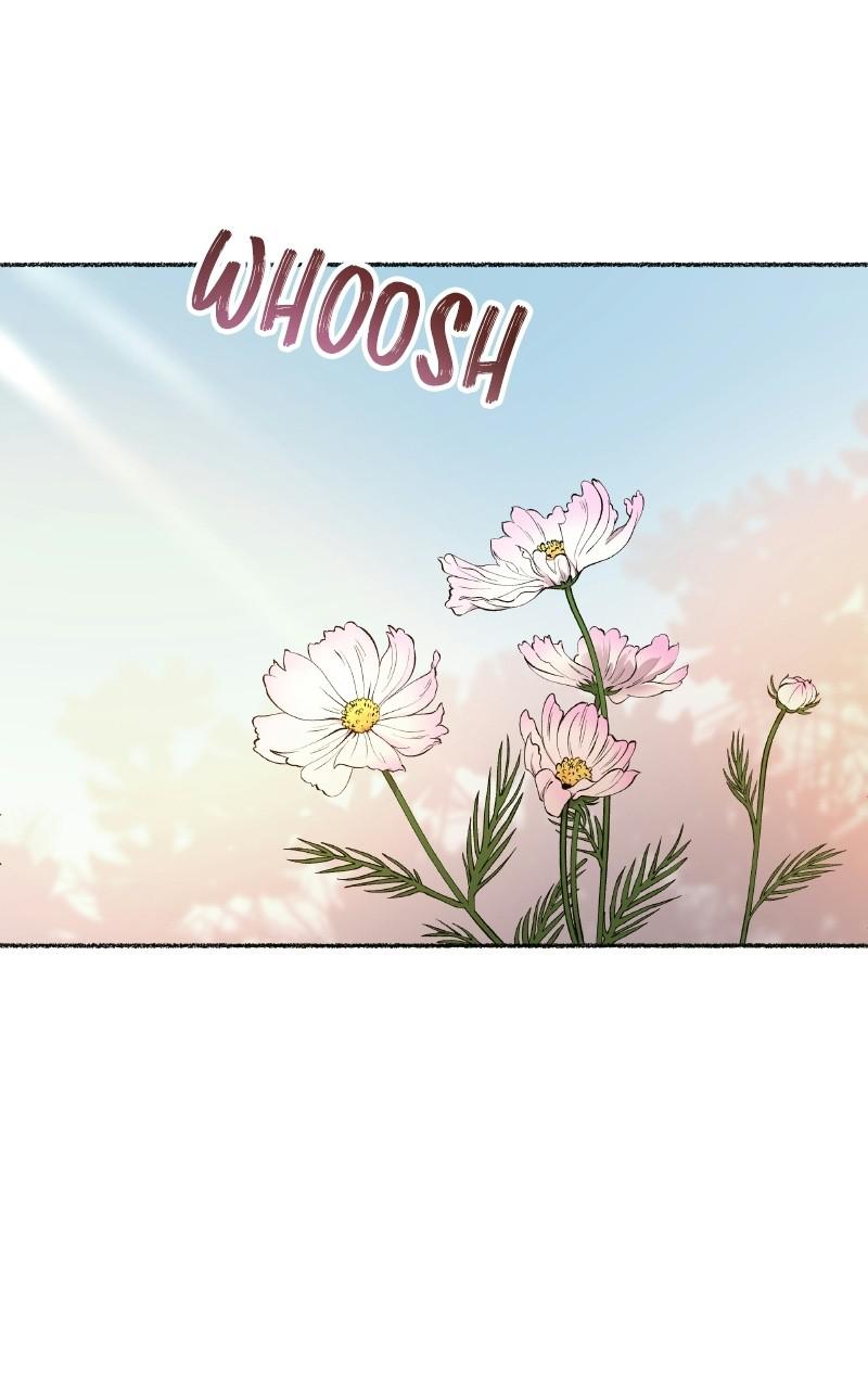Like Wind on a Dry Branch Chap 99 - Next Chap 100