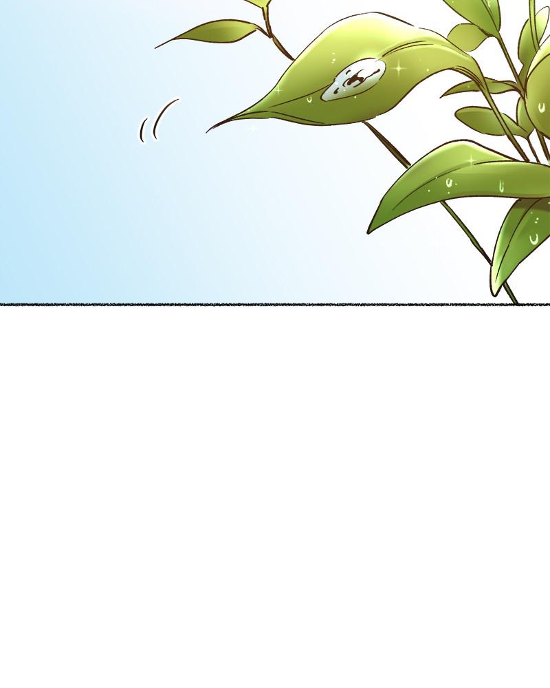 Like Wind on a Dry Branch Chap 92 - Next Chap 93