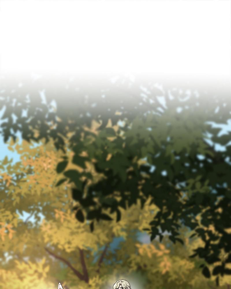 Like Wind on a Dry Branch Chap 93 - Next Chap 94