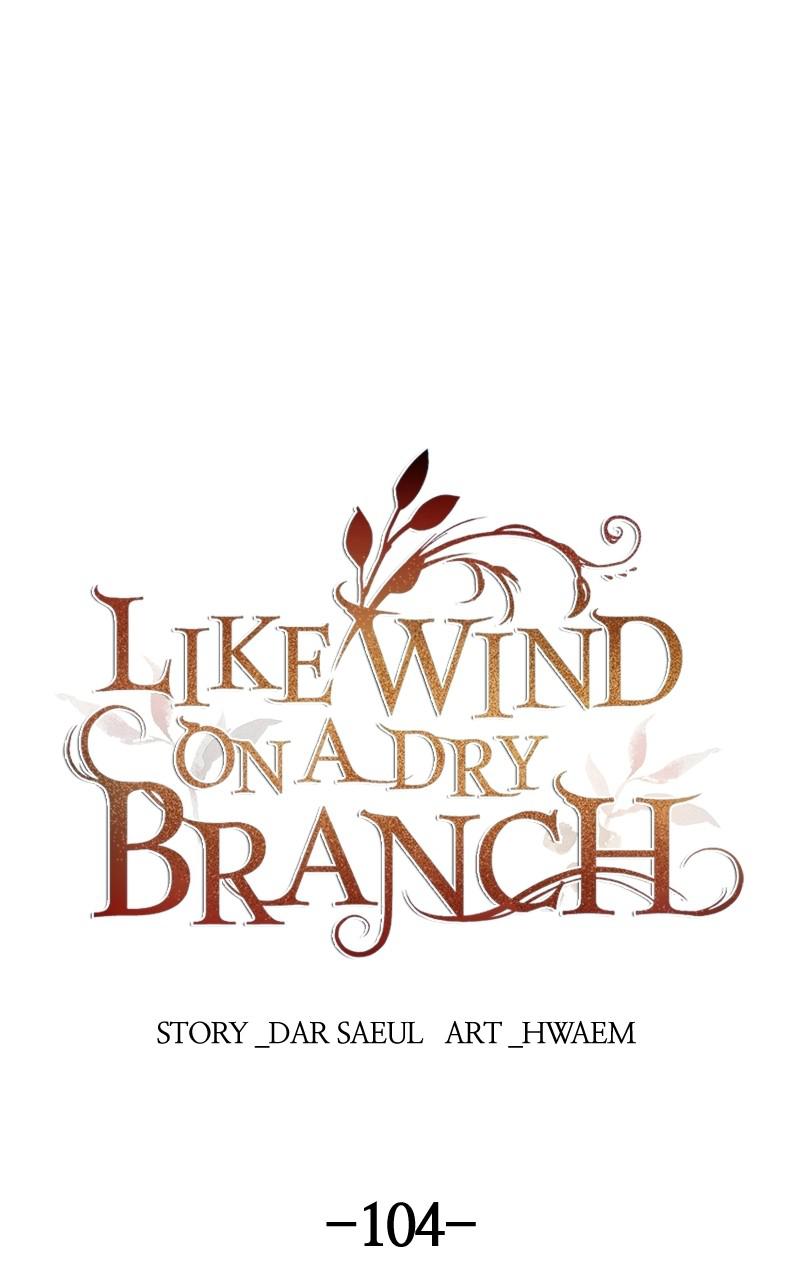 Like Wind on a Dry Branch Chap 104 - Next Chap 105