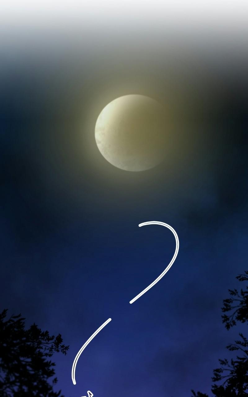 Like Wind on a Dry Branch Chap 105 - Next Chap 106