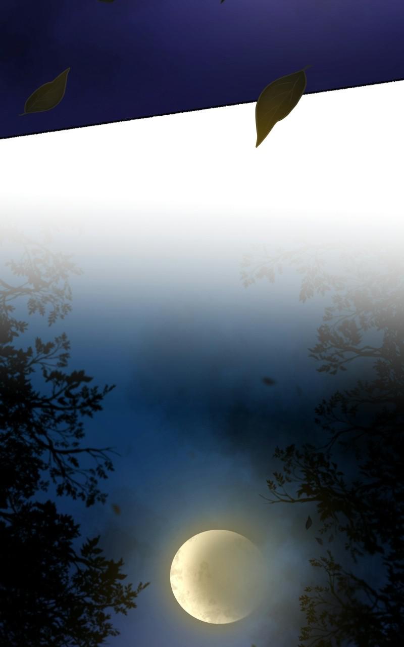 Like Wind on a Dry Branch Chap 105 - Next Chap 106