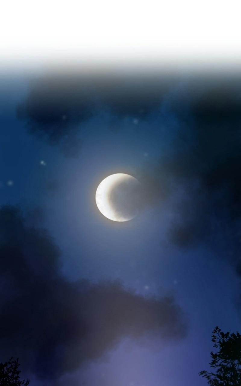Like Wind on a Dry Branch Chap 105 - Next Chap 106