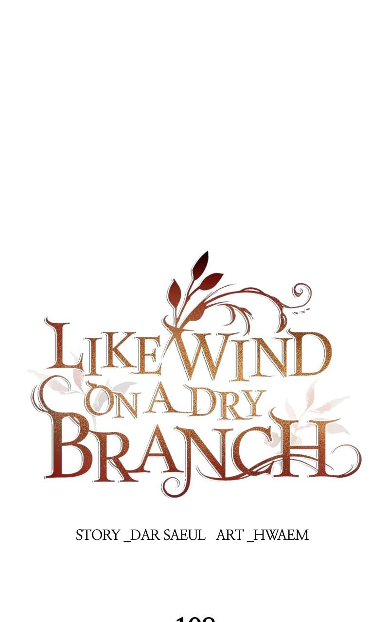 Like Wind on a Dry Branch Chap 108 - Next Chap 109