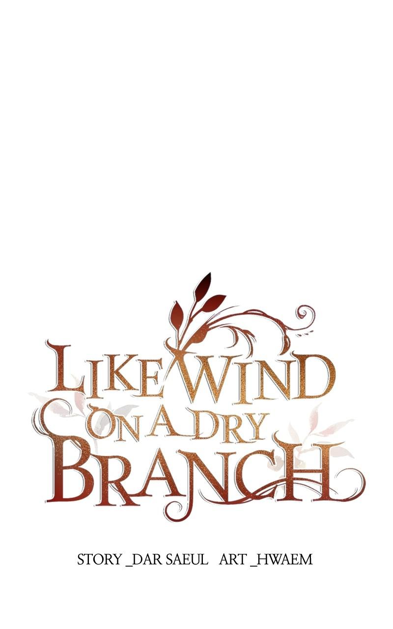 Like Wind on a Dry Branch Chap 100 - Next Chap 101