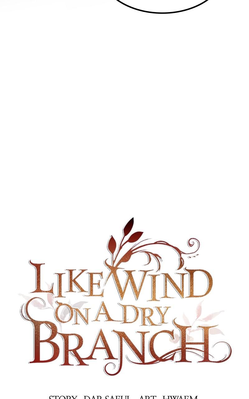 Like Wind on a Dry Branch Chap 114 - Next Chap 115