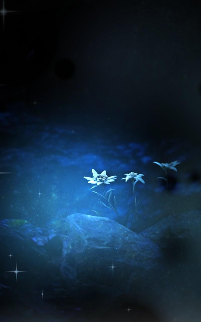 Like Wind on a Dry Branch Chap 119 - Next Chap 120