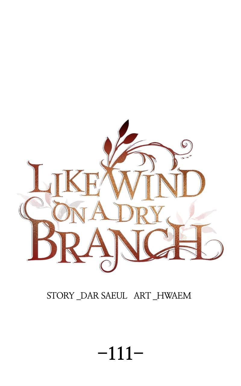 Like Wind on a Dry Branch Chap 111 - Next Chap 112