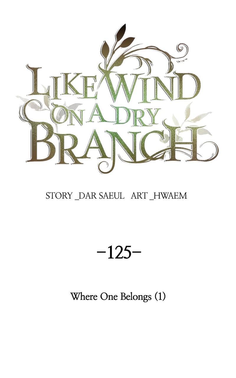 Like Wind on a Dry Branch Chap 125 - Next Chap 126