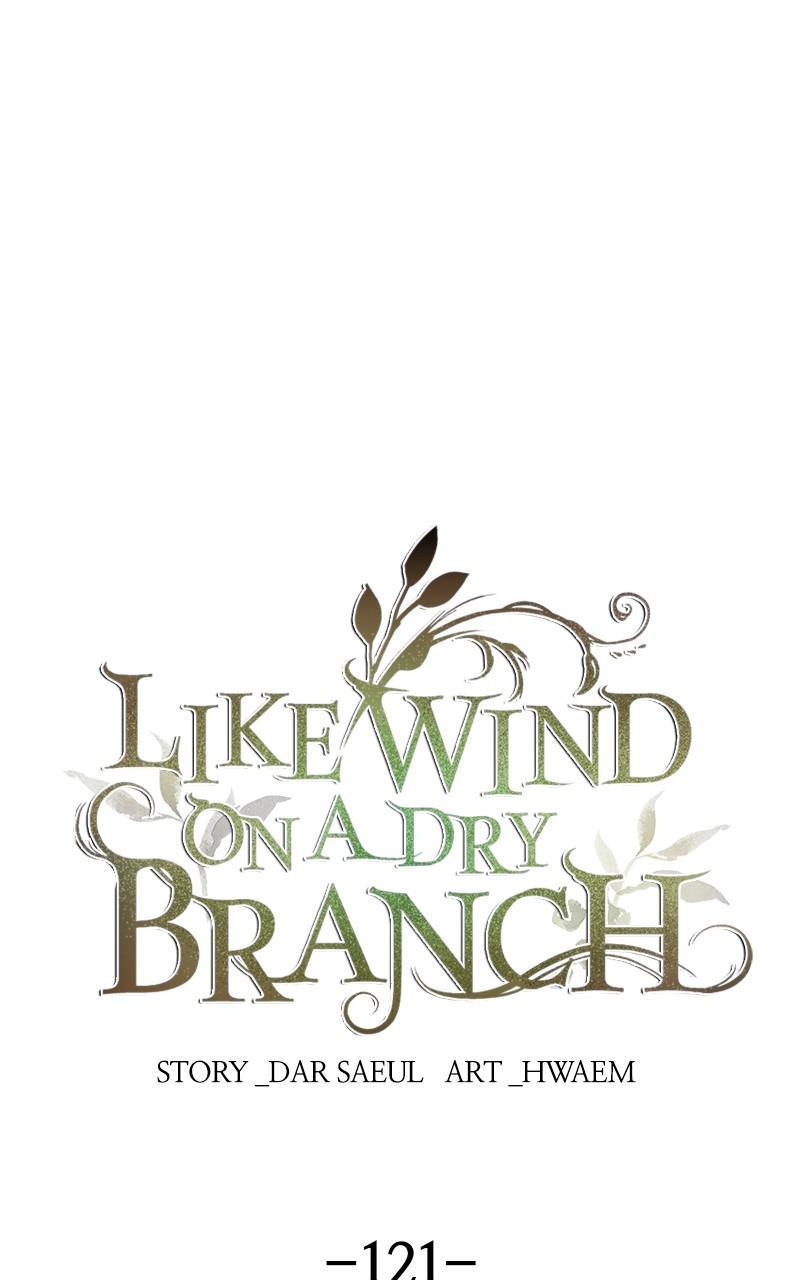 Like Wind on a Dry Branch Chap 121 - Next Chap 122