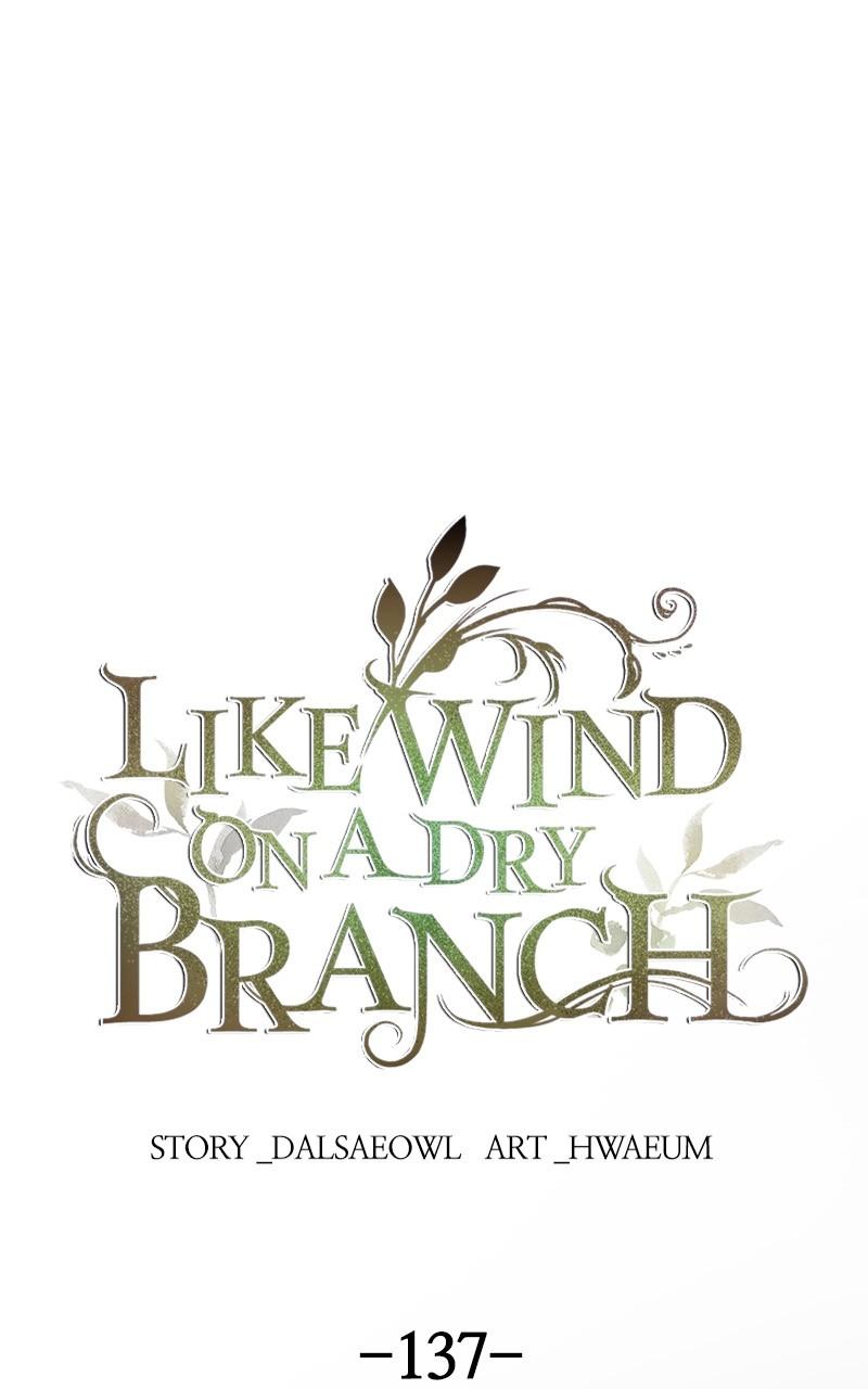 Like Wind on a Dry Branch Chap 137 - Next Chap 138