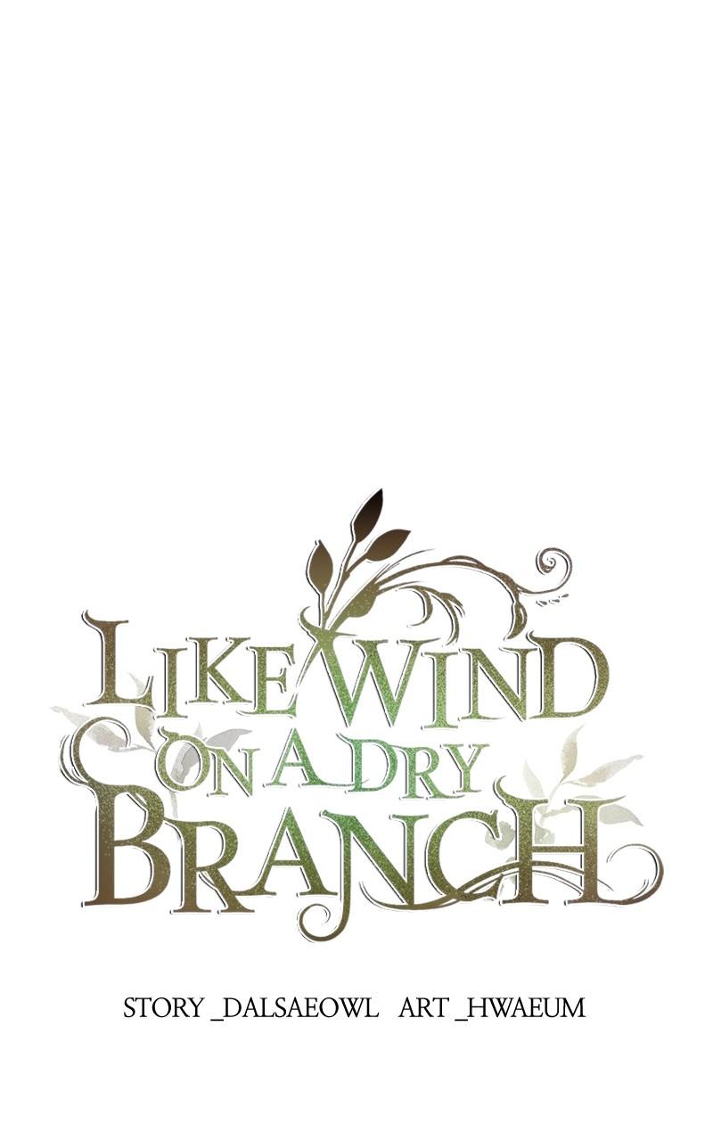 Like Wind on a Dry Branch Chap 138 - Next Chap 139