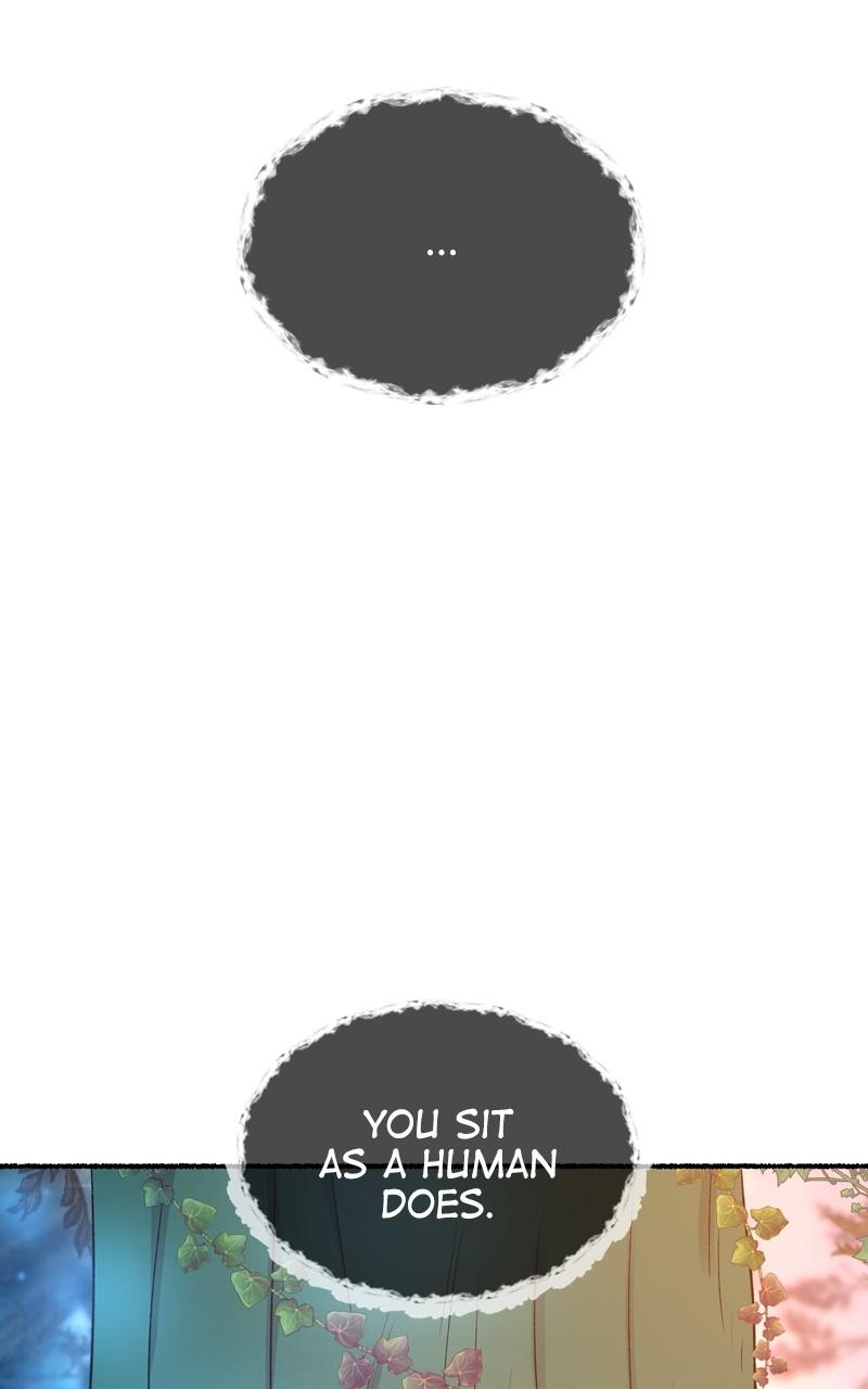 Like Wind on a Dry Branch Chap 132 - Next Chap 133