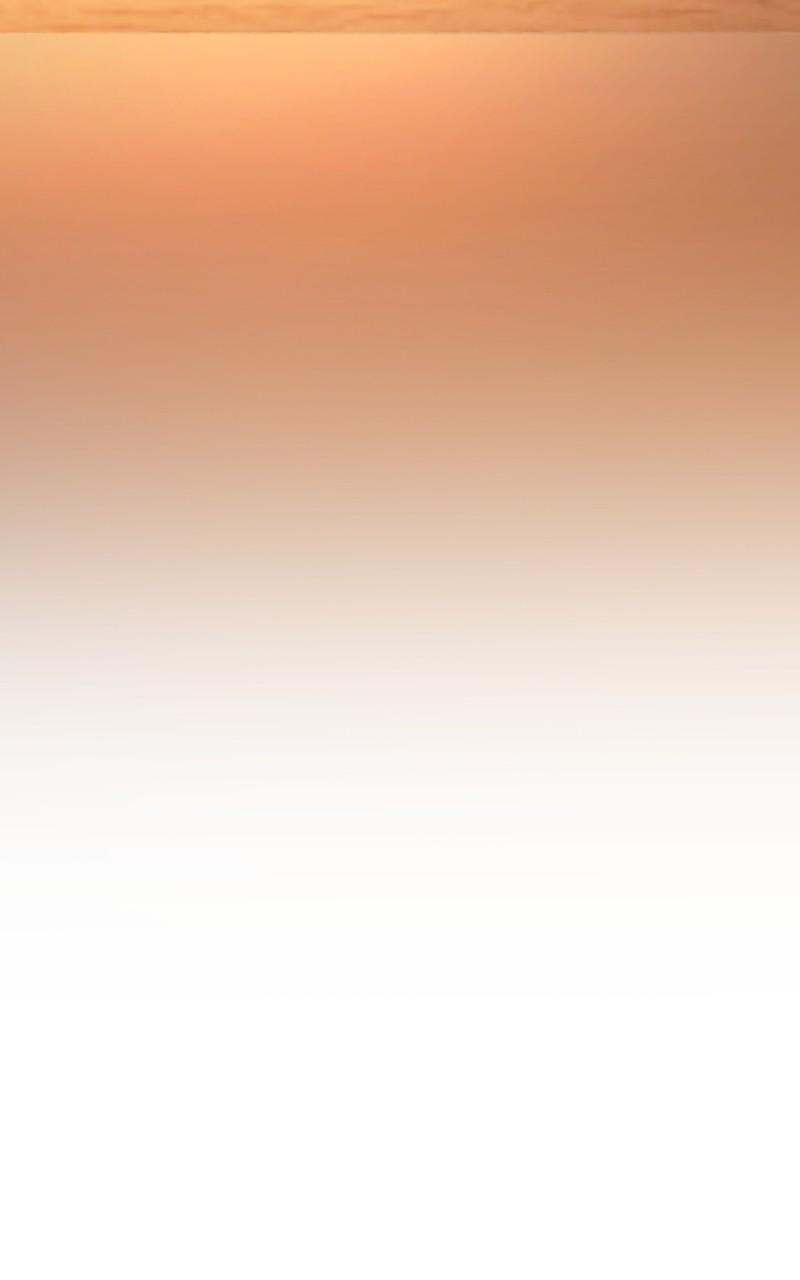 Like Wind on a Dry Branch Chap 132 - Next Chap 133