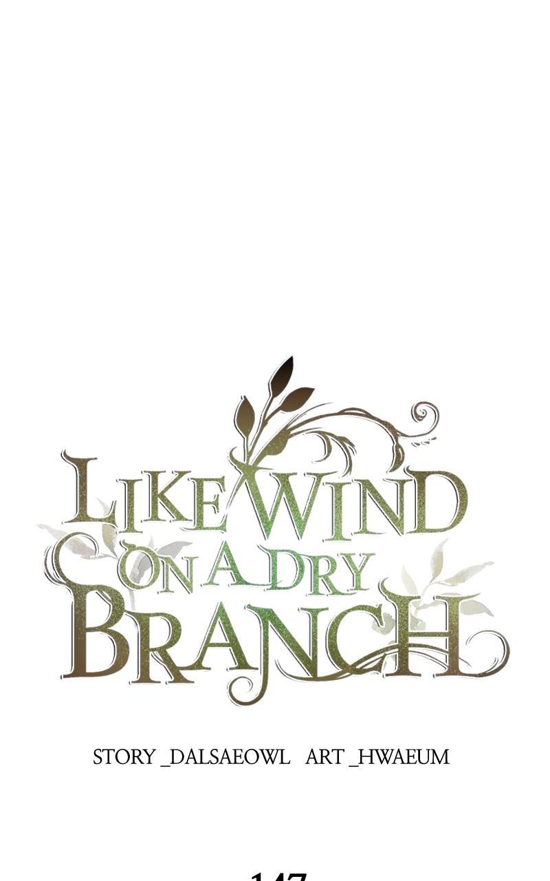 Like Wind on a Dry Branch Chap 147 - Next Chap 148