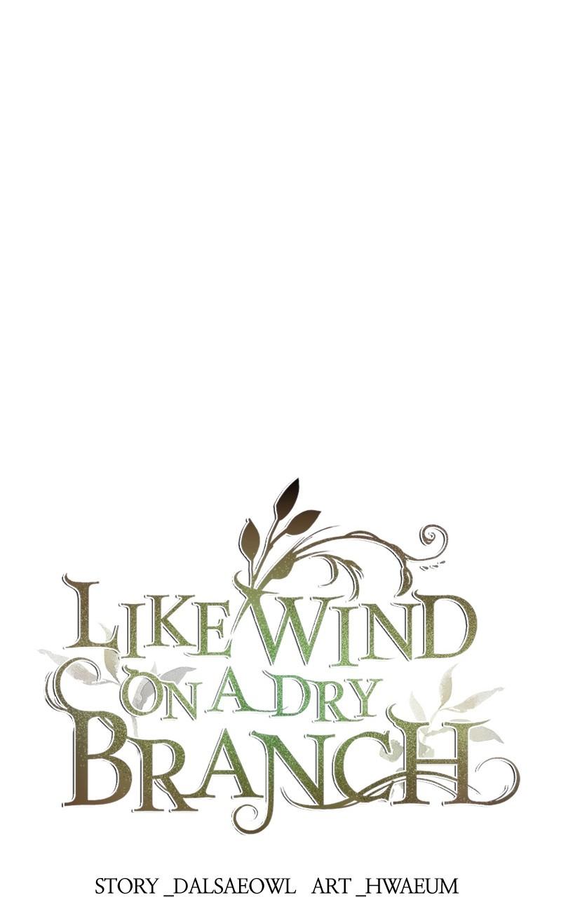 Like Wind on a Dry Branch Chap 145 - Next Chap 146