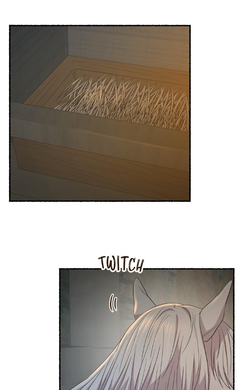Like Wind on a Dry Branch Chap 140 - Next Chap 141