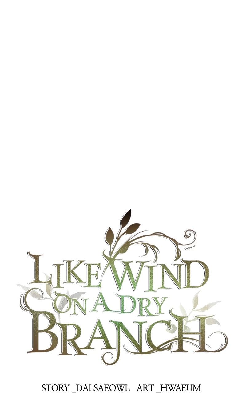 Like Wind on a Dry Branch Chap 141 - Next Chap 142