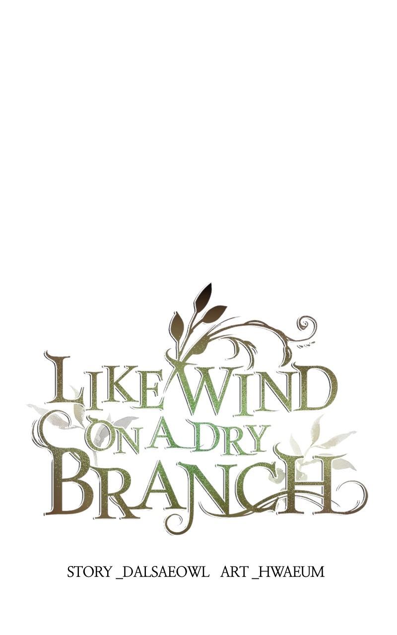 Like Wind on a Dry Branch Chap 142 - Next Chap 143