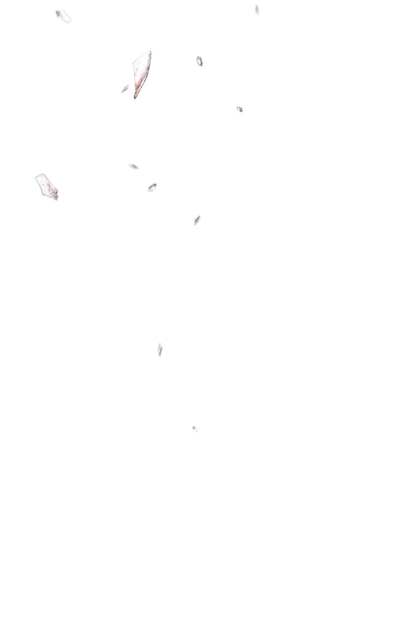 Like Wind on a Dry Branch Chap 157 - Next Chap 158