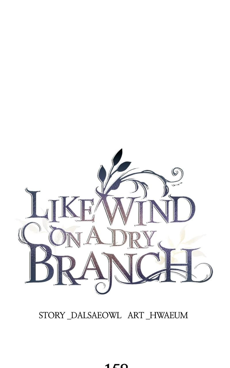 Like Wind on a Dry Branch Chap 158 - Next Chap 159