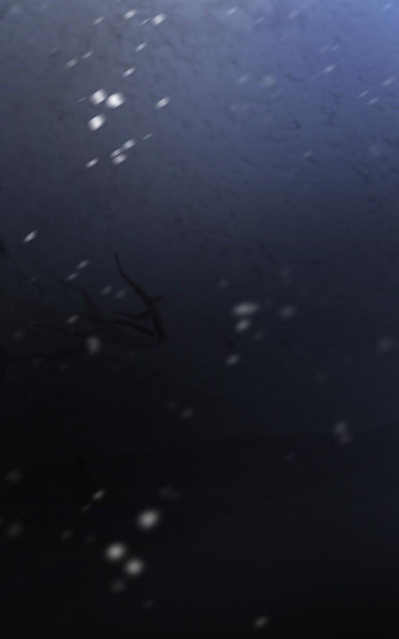 Like Wind on a Dry Branch Chap 158 - Next Chap 159