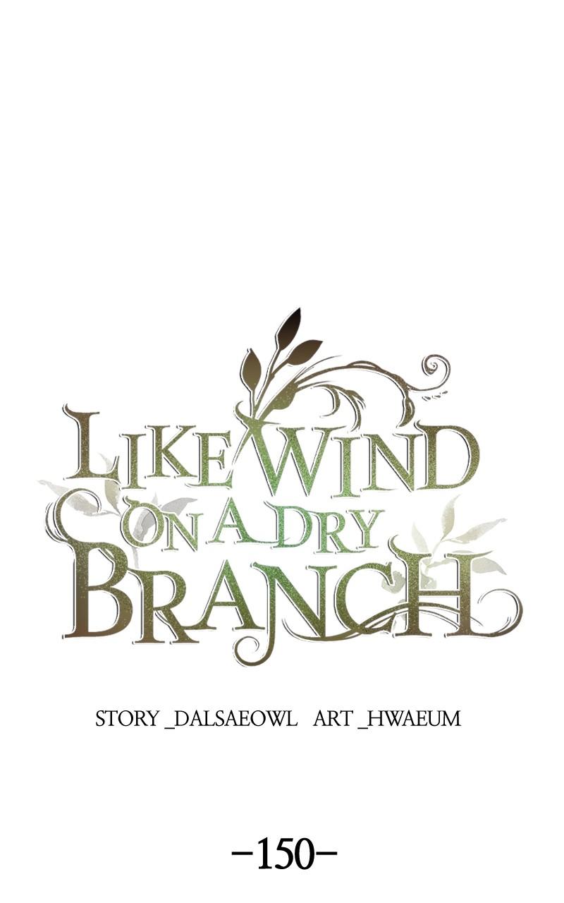 Like Wind on a Dry Branch Chap 150 - Next Chap 151
