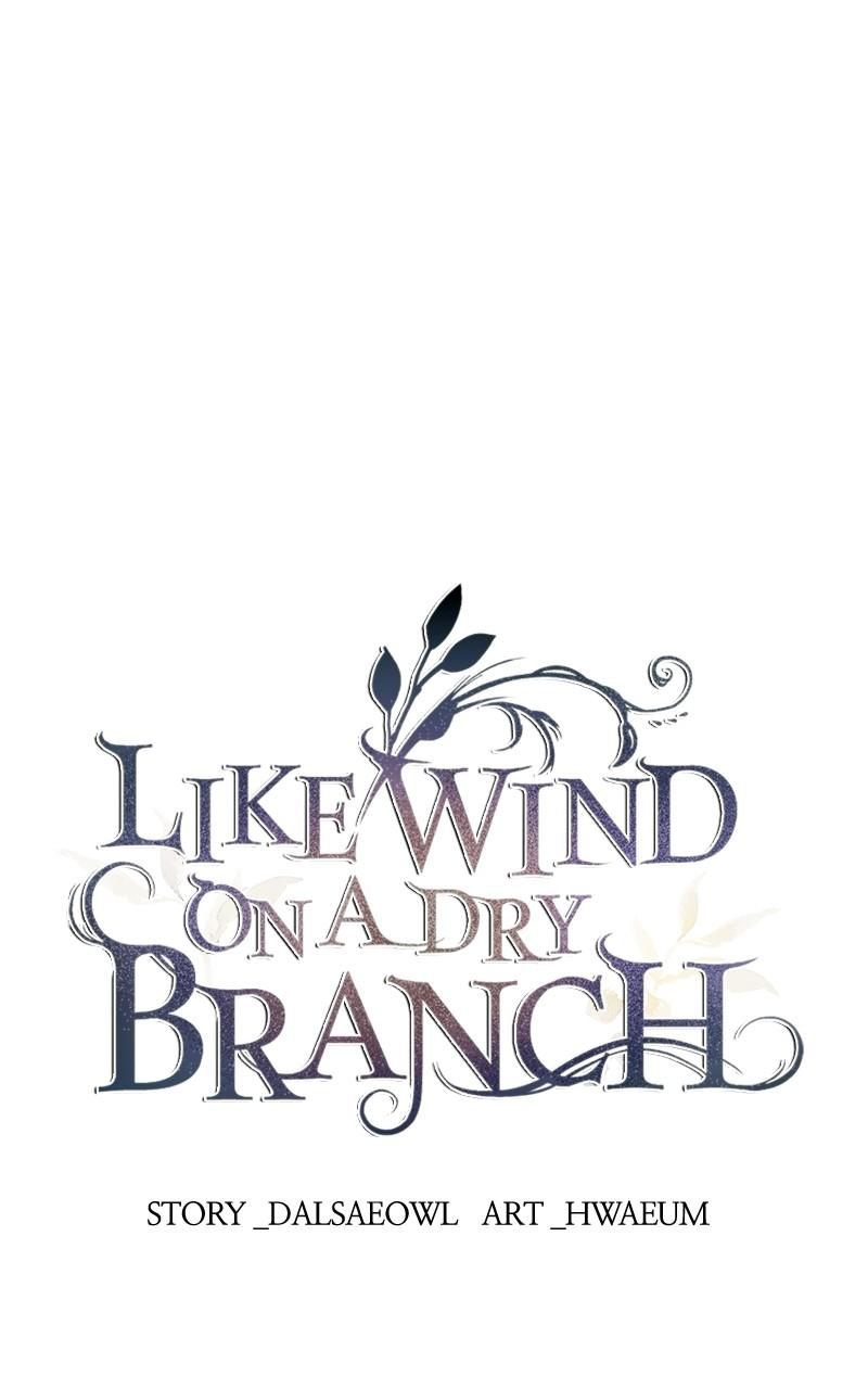Like Wind on a Dry Branch Chap 165 - Next Chap 166
