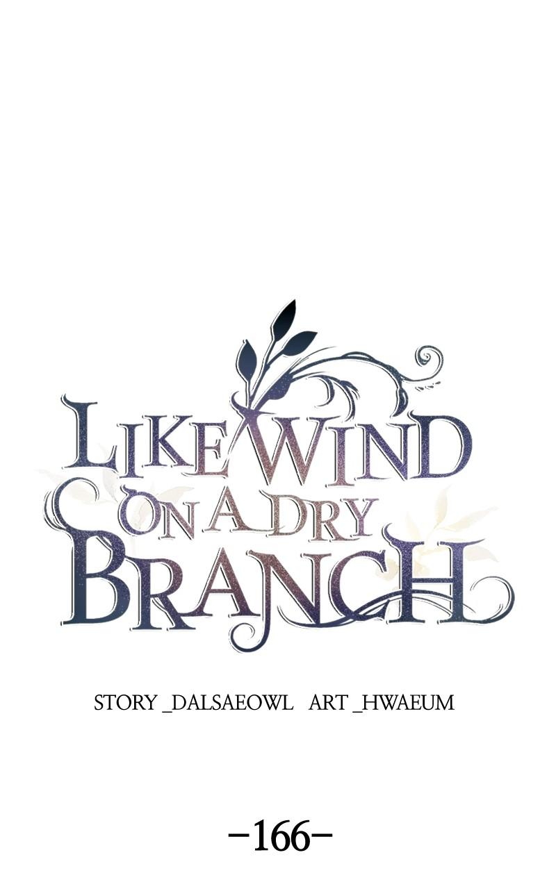 Like Wind on a Dry Branch Chap 166 - Next Chap 167