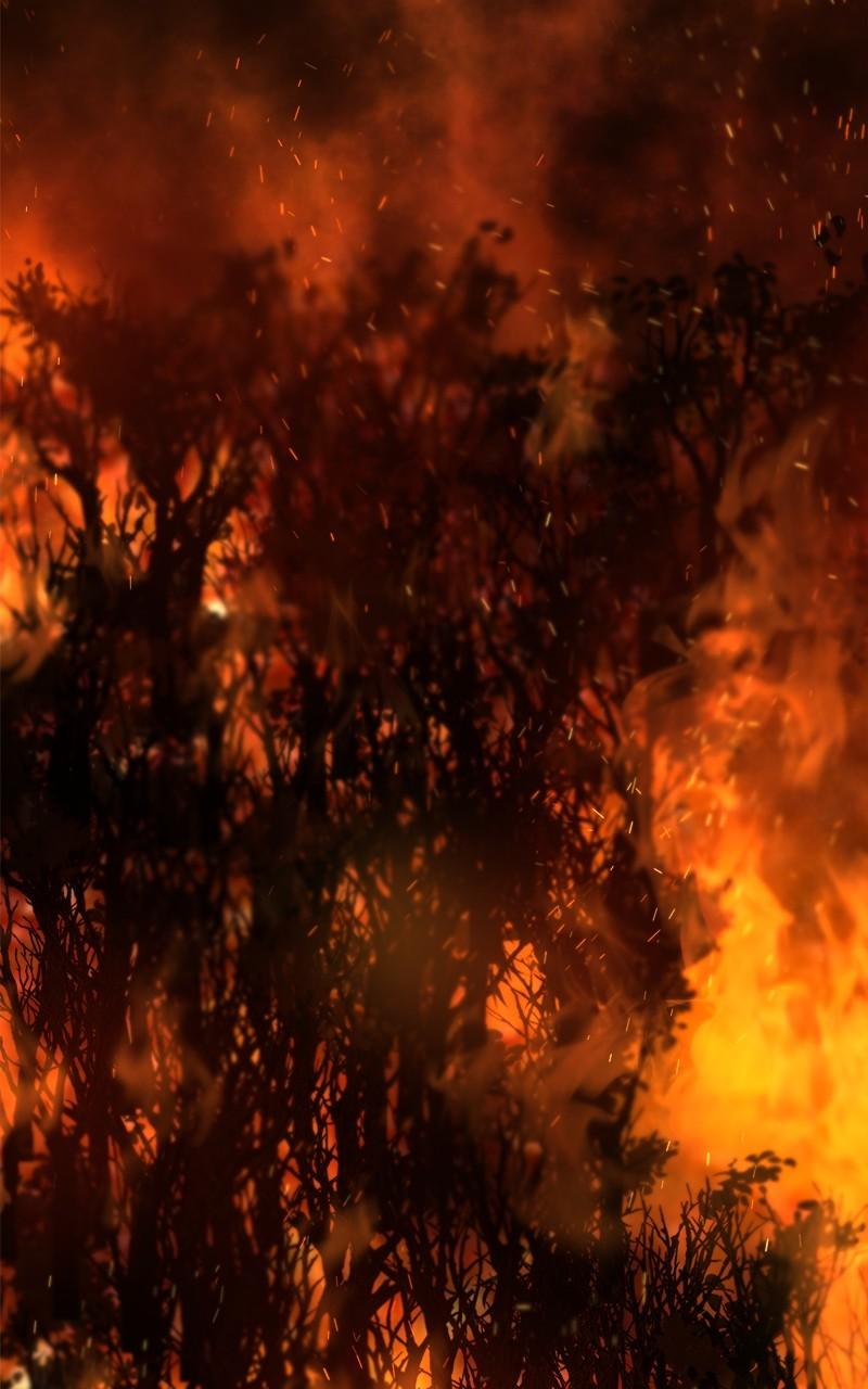 Like Wind on a Dry Branch Chap 169 - Next Chap 170