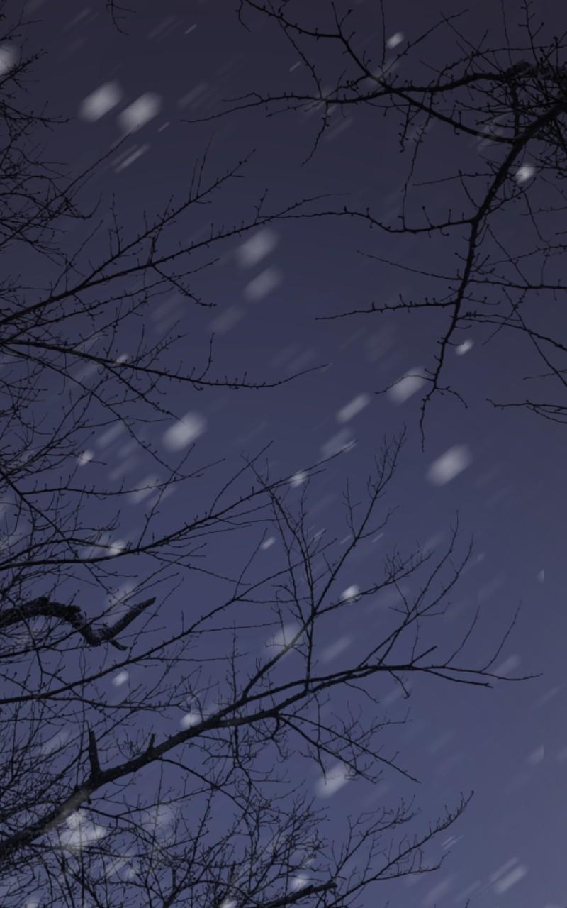 Like Wind on a Dry Branch Chap 160 - Next Chap 161