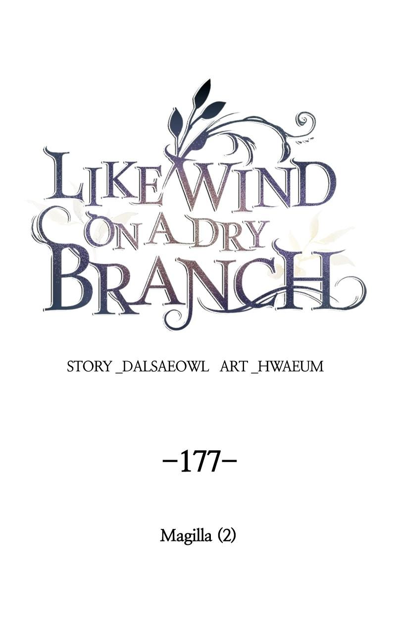Like Wind on a Dry Branch Chap 177 - Next Chap 178