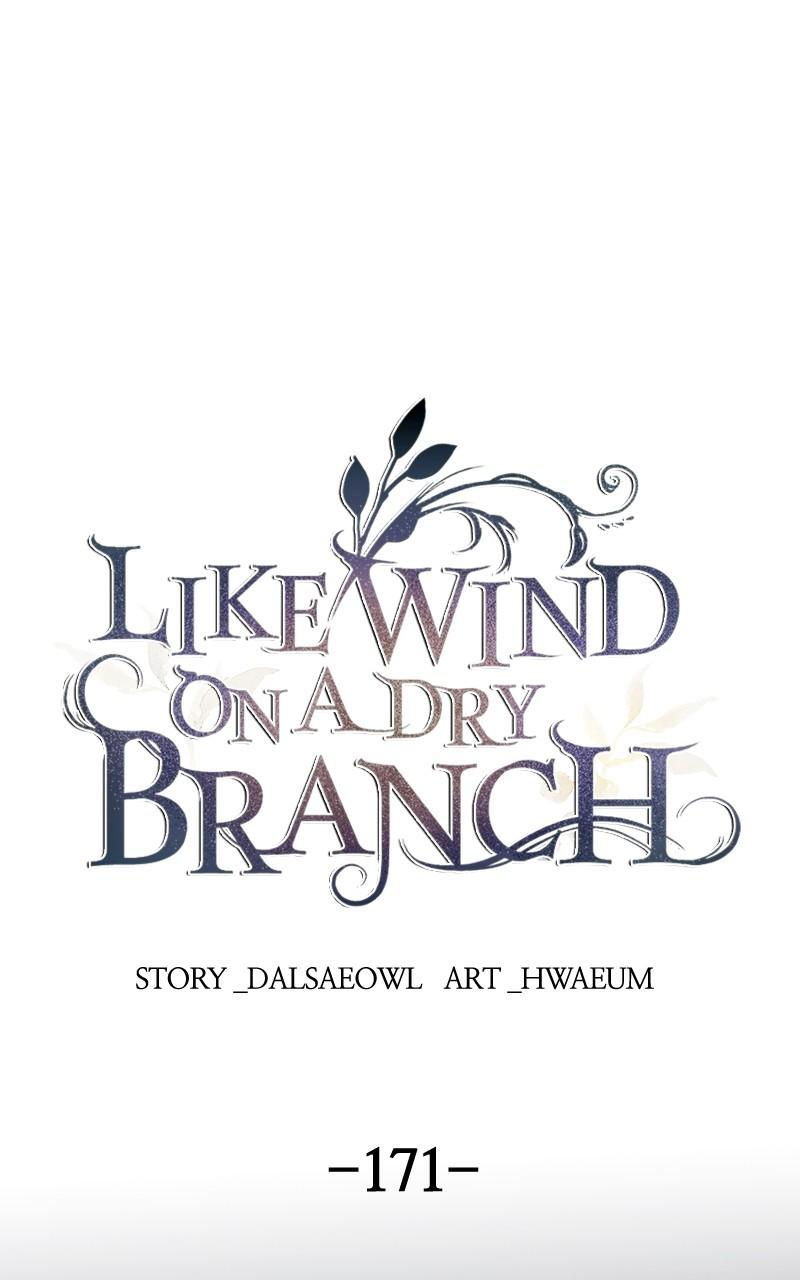 Like Wind on a Dry Branch Chap 171 - Next Chap 172