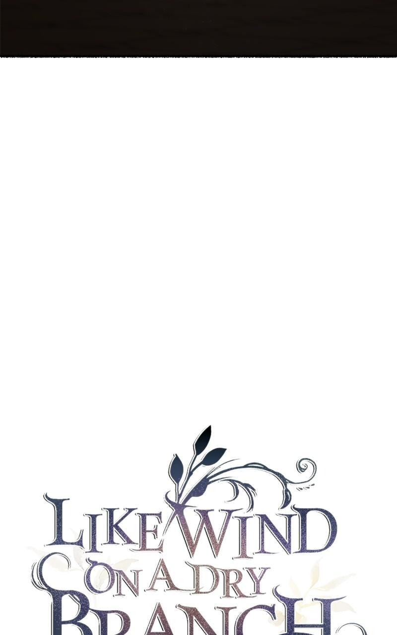 Like Wind on a Dry Branch Chap 173 - Next Chap 174