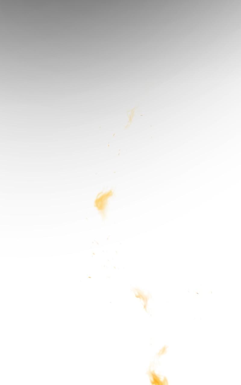 Like Wind on a Dry Branch Chap 199 - Next Chap 200