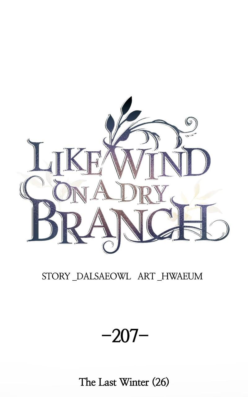 Like Wind on a Dry Branch Chap 207 - Next Chap 208