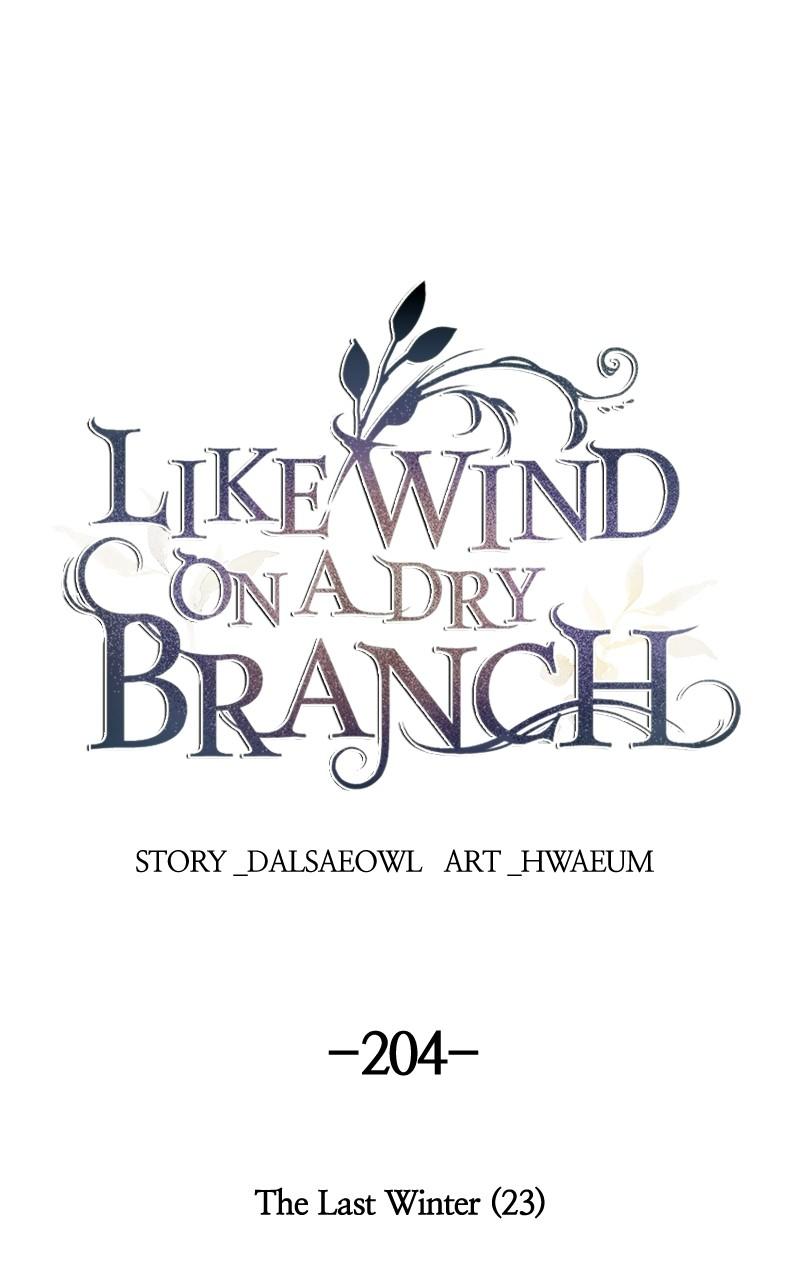 Like Wind on a Dry Branch Chap 204 - Next Chap 205