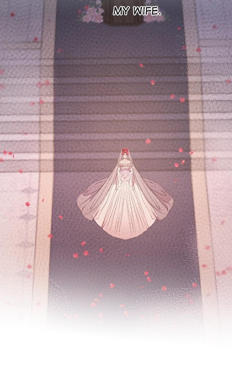 Like Wind on a Dry Branch Chap 205 - Next Chap 206