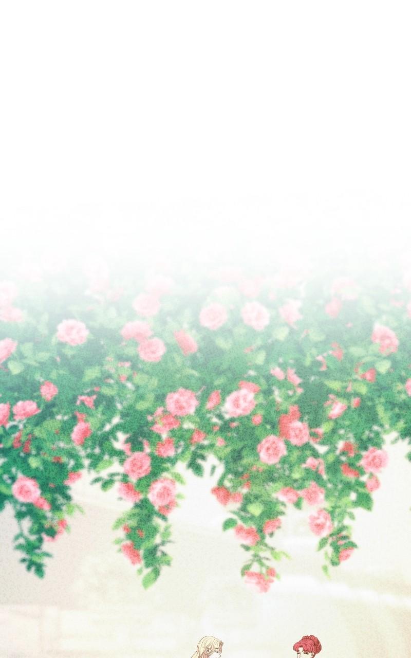 Like Wind on a Dry Branch Chap 205 - Next Chap 206