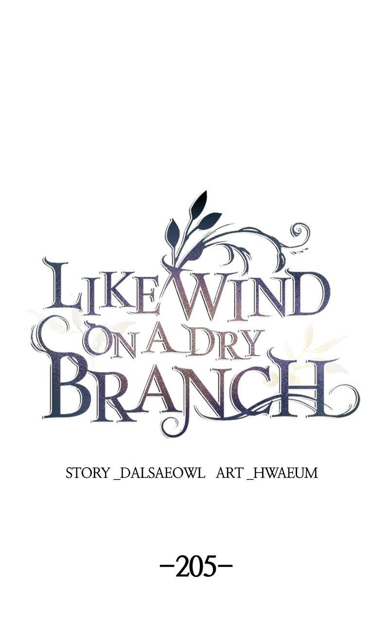 Like Wind on a Dry Branch Chap 205 - Next Chap 206
