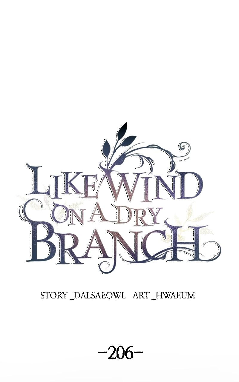 Like Wind on a Dry Branch Chap 206 - Next Chap 207