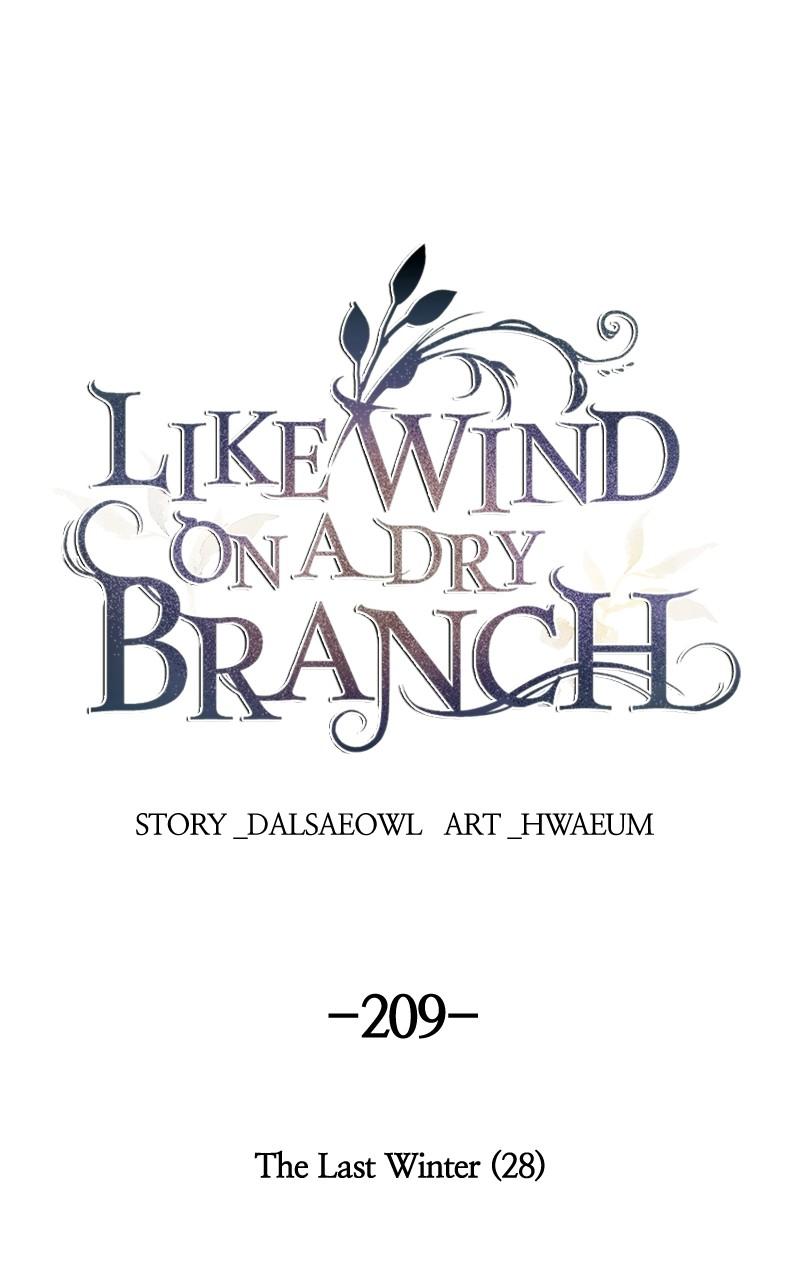 Like Wind on a Dry Branch Chap 209 - Next Chap 210